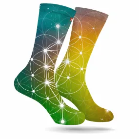 GOLDEN RATIO SOCKS